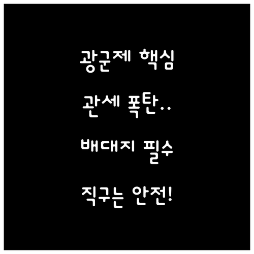 직구는 관세 폭탄 배대지는 안전 귀환..