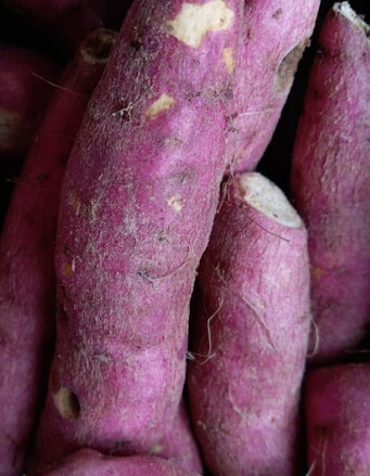 고구마 보관하는 법 완벽 가이드