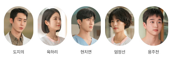 닥터 섬보이 등장인물 출연진 인물관계도 줄거리 기본정보