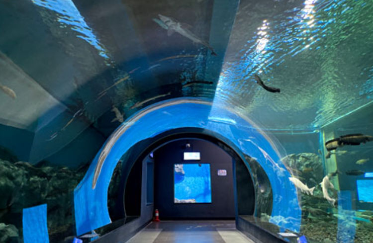 충북 아쿠아리움