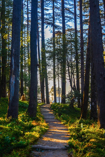 실적 발표 때 &lsquo;가이던스&rsquo;란? 투자자가 꼭 알아야 할 핵심 개념
