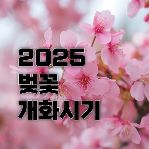 2025 벚꽃 개화시기 포스터