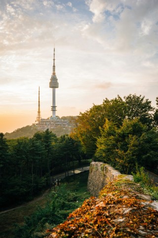 서울 인구