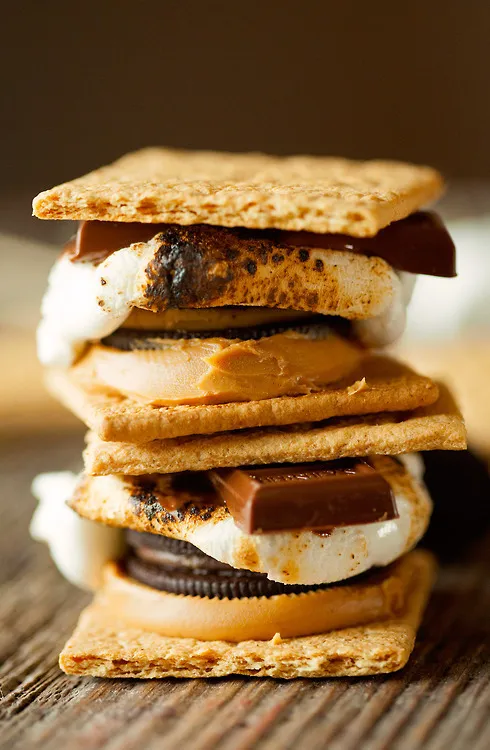 24년 가을 유행 및 트랜드