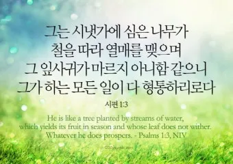 시편 1편 설교 아이디어 묵상 말씀 준비_8