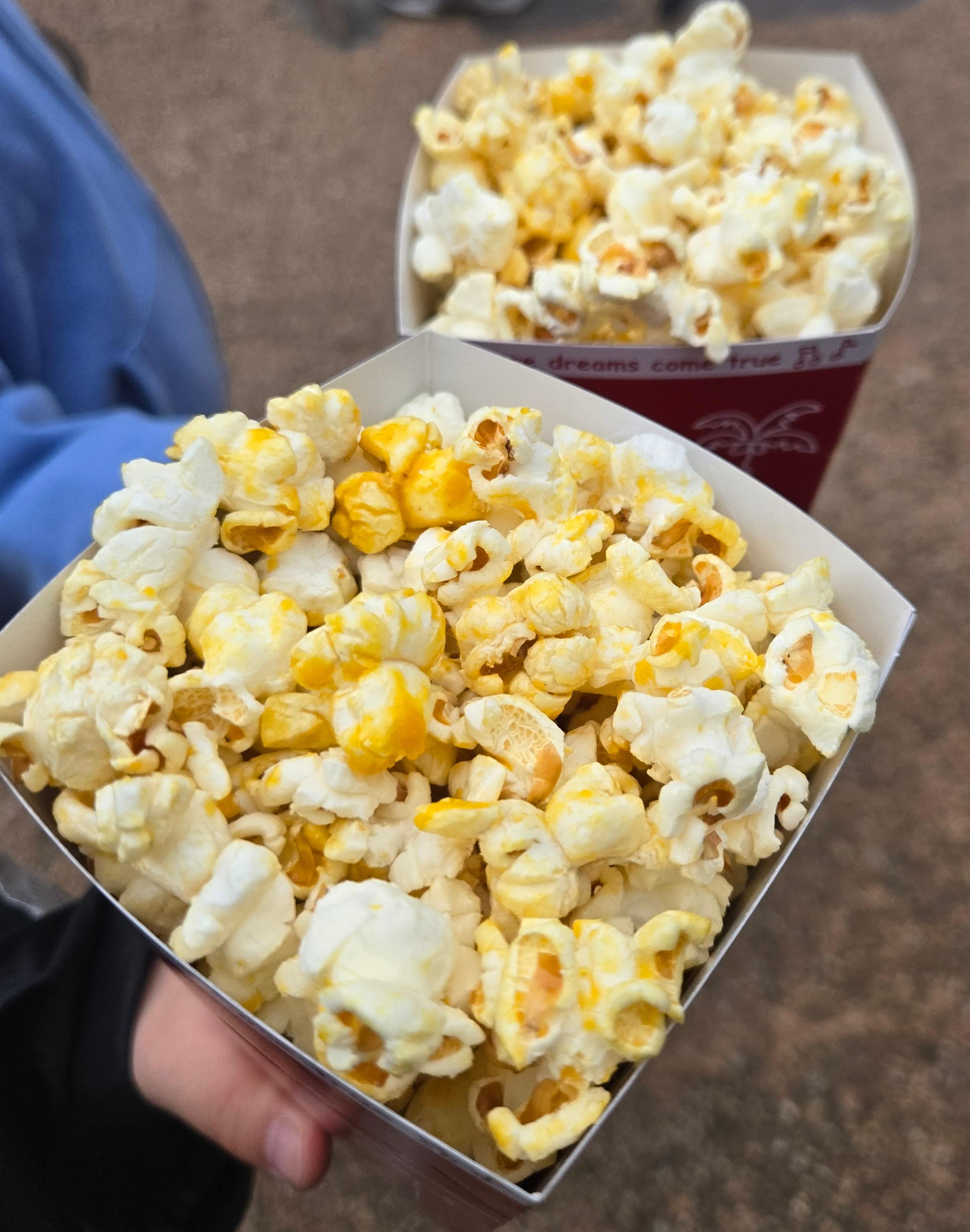 도쿄디즈니랜드 콘소메 맛 팝콘
도쿄디즈니랜드 마차 팝콘 통