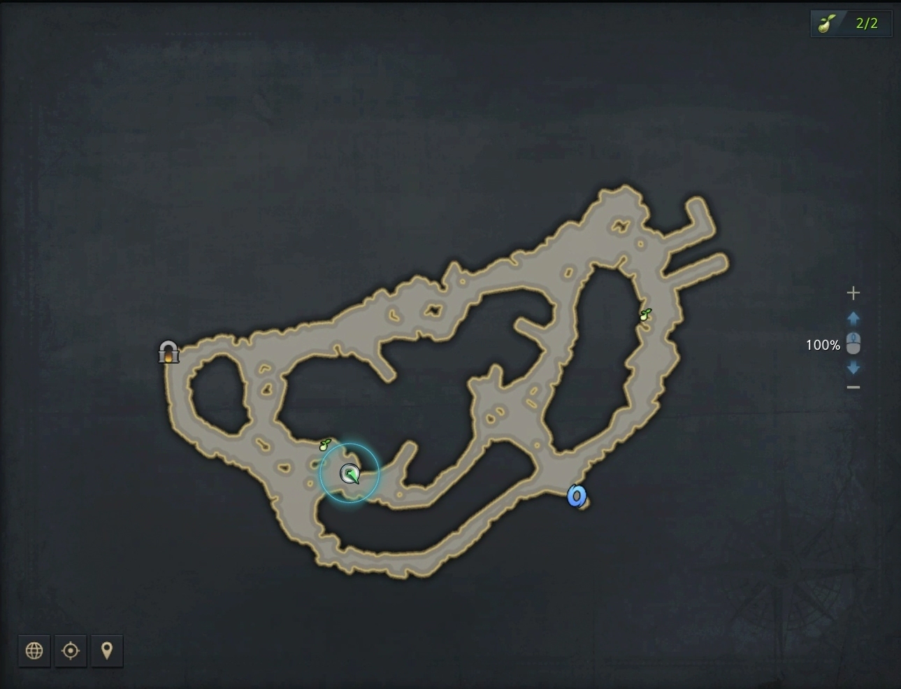 회상의섬모코코