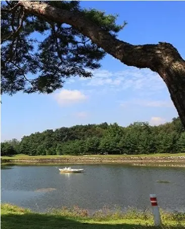 충주