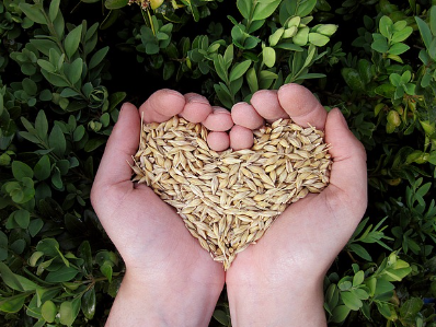 정제된 탄수화물 줄이기