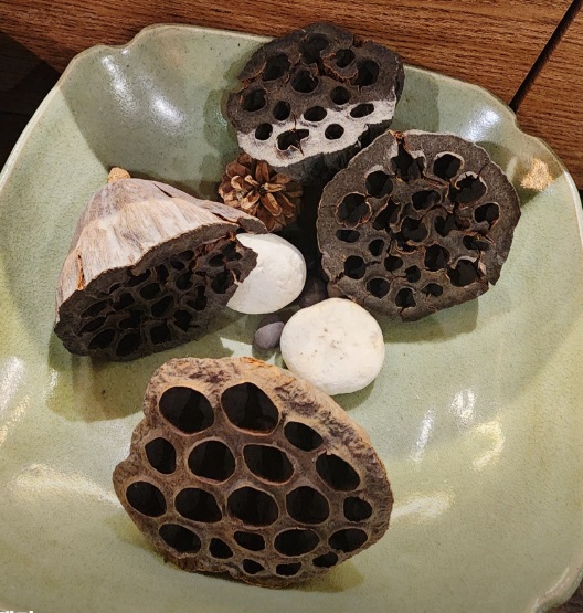 6시내고향-시흥-연잎밥-한정식-고연