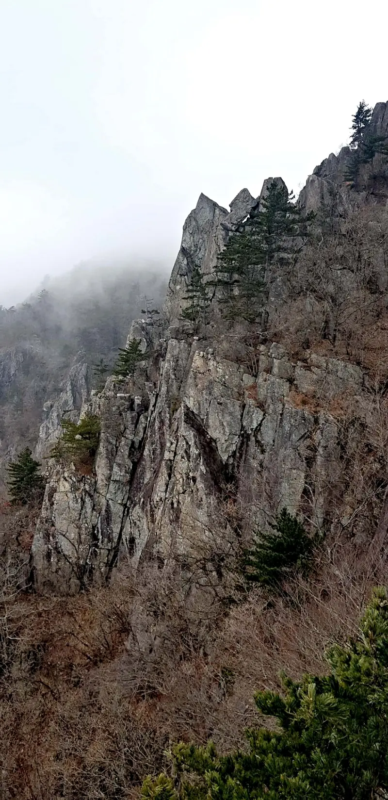 울산 영축산과 신불산