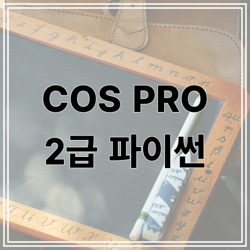 COS PRO 2급 파이썬