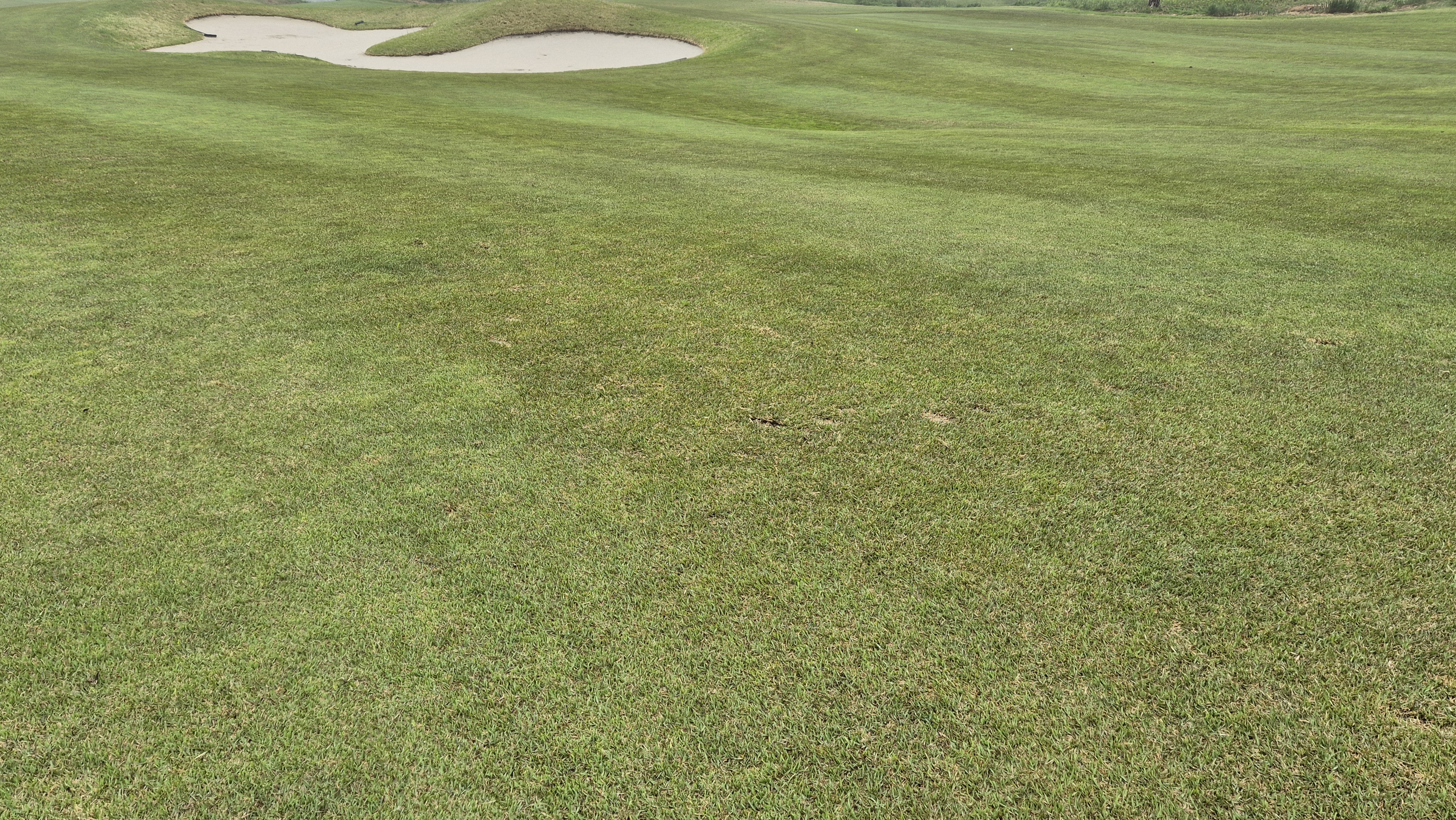 엘리시안 강촌cc 라운드 후기