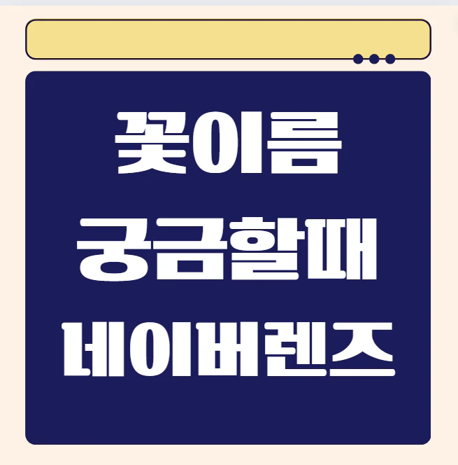 네이버앱 렌즈 활용방법