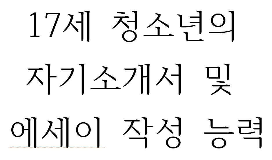17세 청소년의 자기소개서 및 에세이 작성 능력