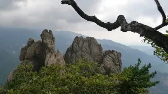 김종환 사랑을 위하여 가서 노래 무료듣기_26