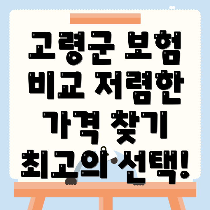 자동차보험