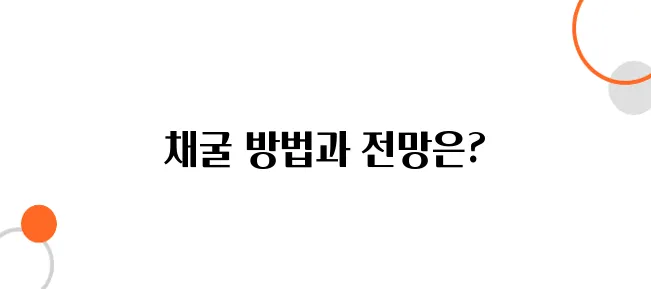 도지코인 채굴 방법과 2025년 수익성