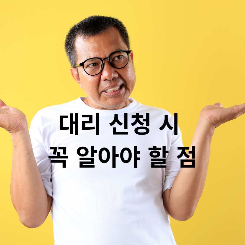 민생회복 소비쿠폰 이의신청