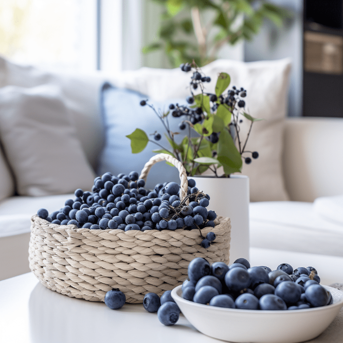 자연의-파란-영양제-블루베리