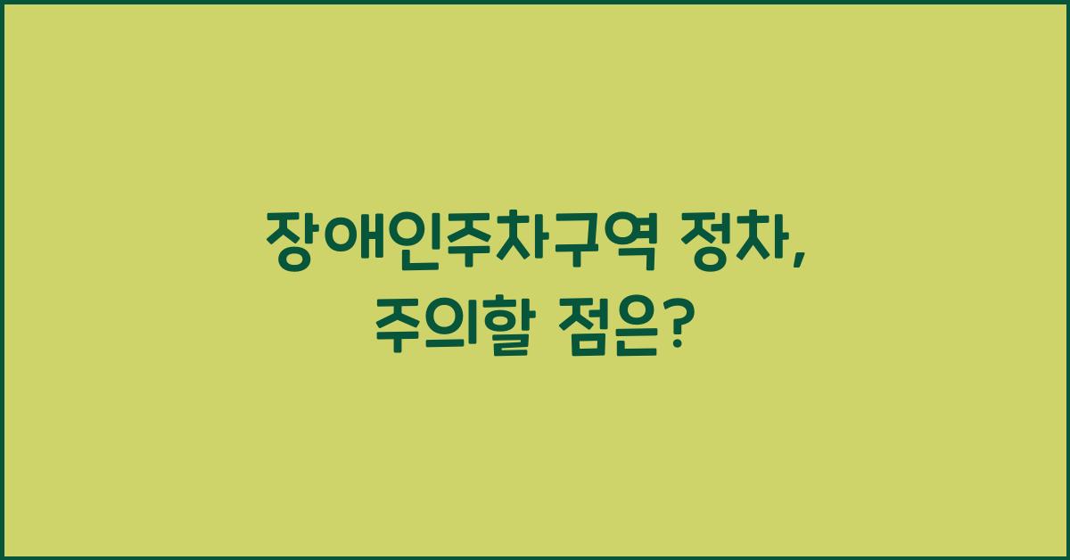 장애인주차구역 정차