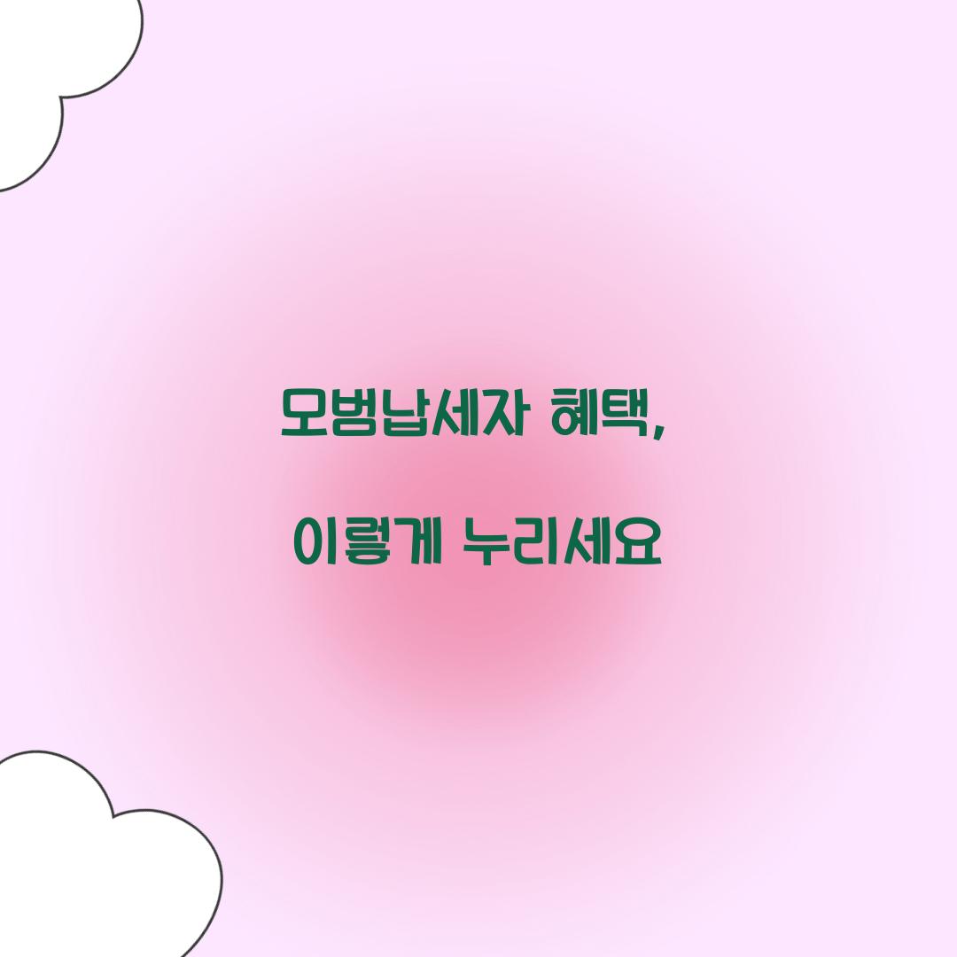 모범납세자 혜택