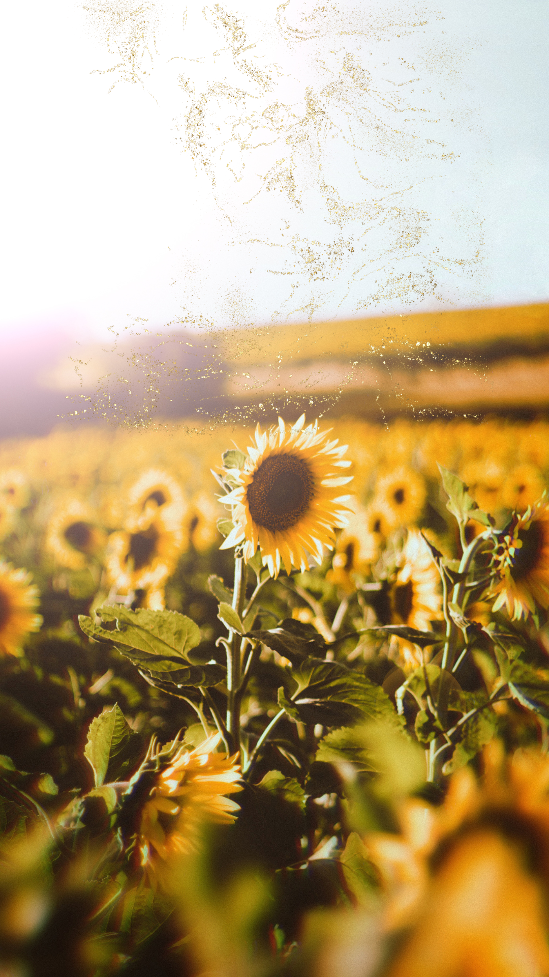 돈들어오는 그림 배경화면 사진