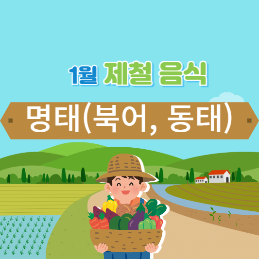 명태, 북어, 동태