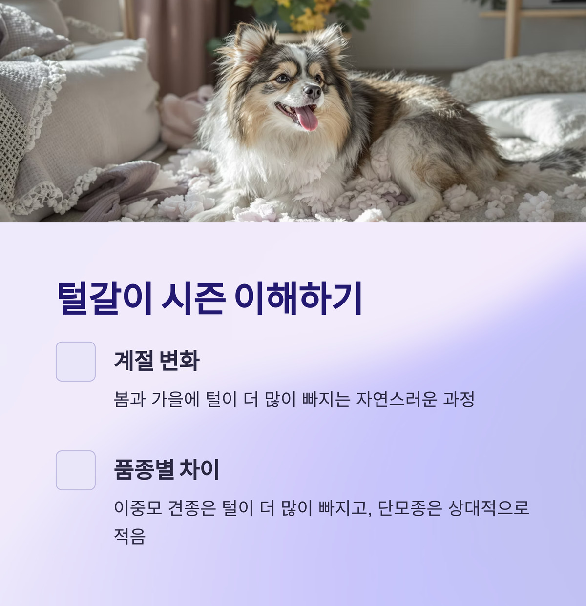 털갈이 시즌 이해하기