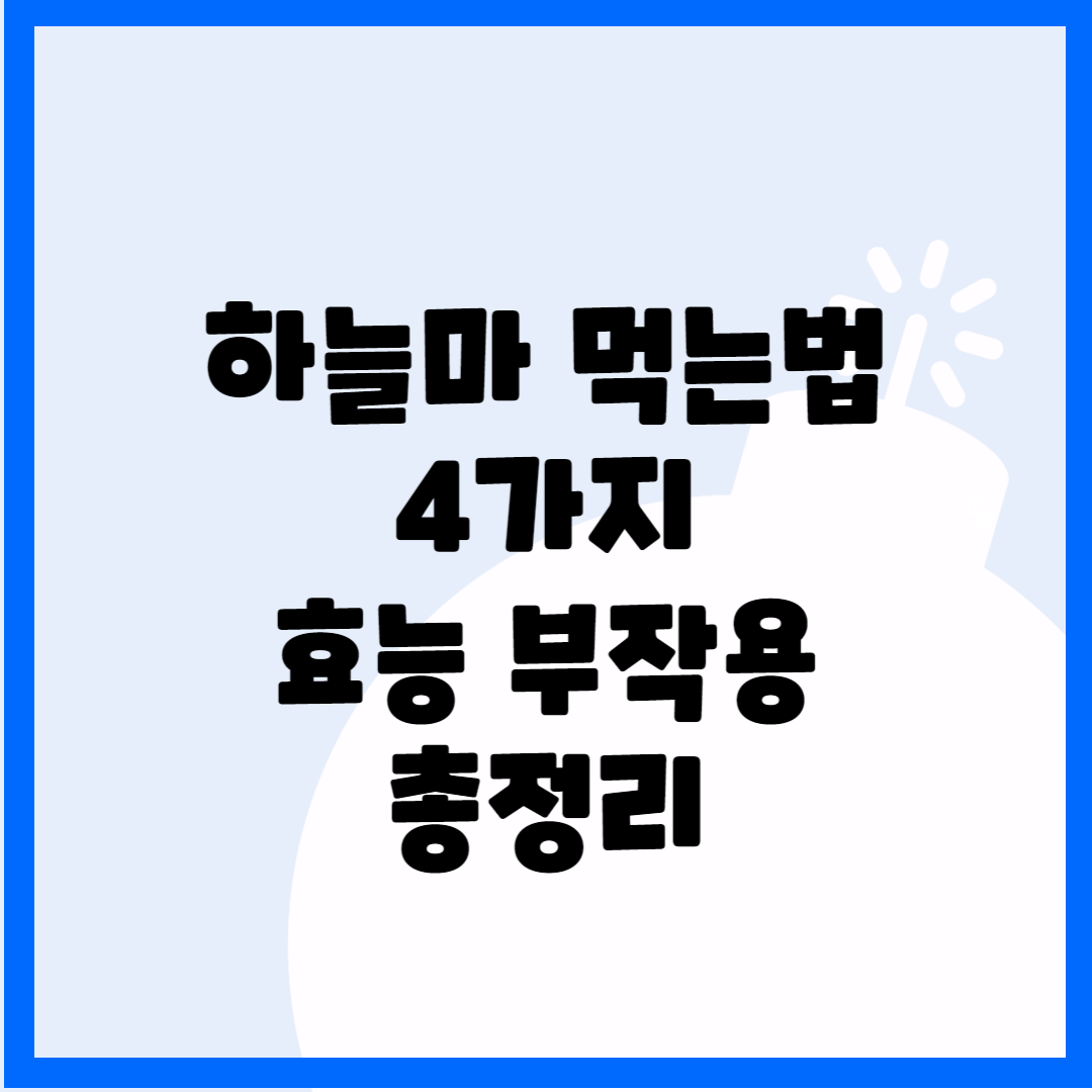 하늘마 먹는법 4가지, 효능 부작용 총정리 블로그 썸내일 사진