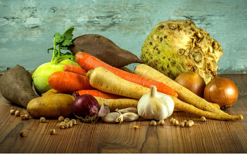 뇌건강 영양제의 추천 복용방법