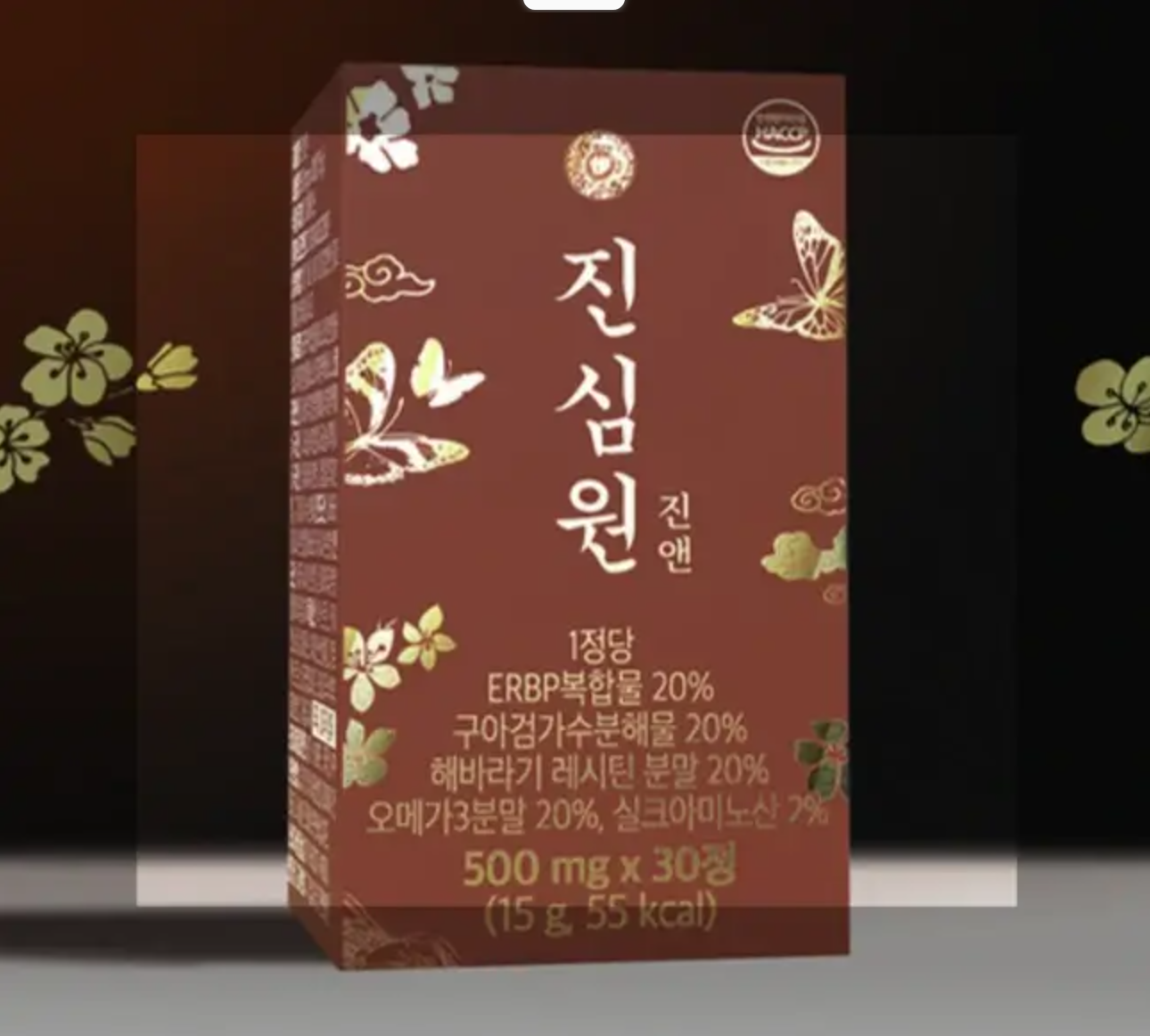진앤 진심원이란?