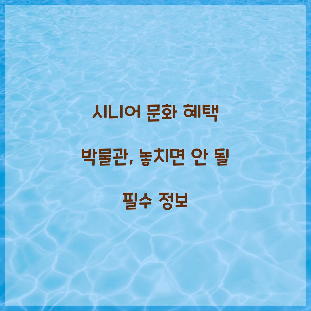 시니어 문화 혜택 박물관