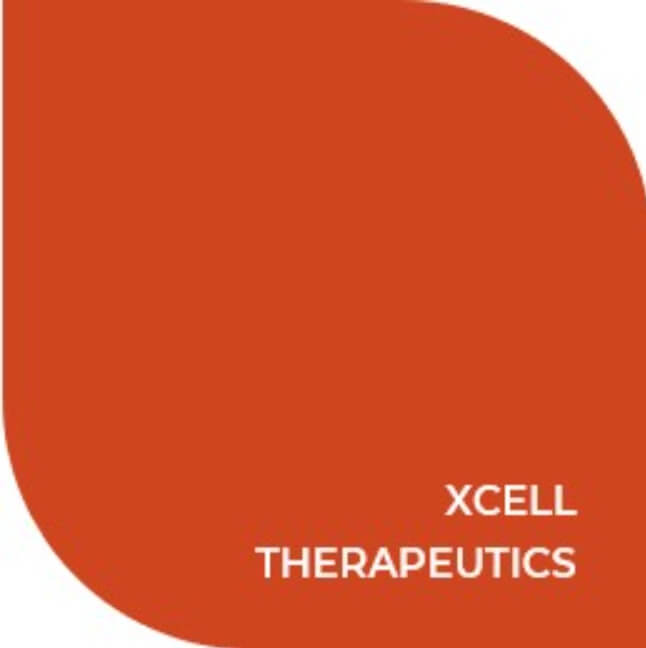 7월 ipo 공모주 엑셀세라퓨틱스