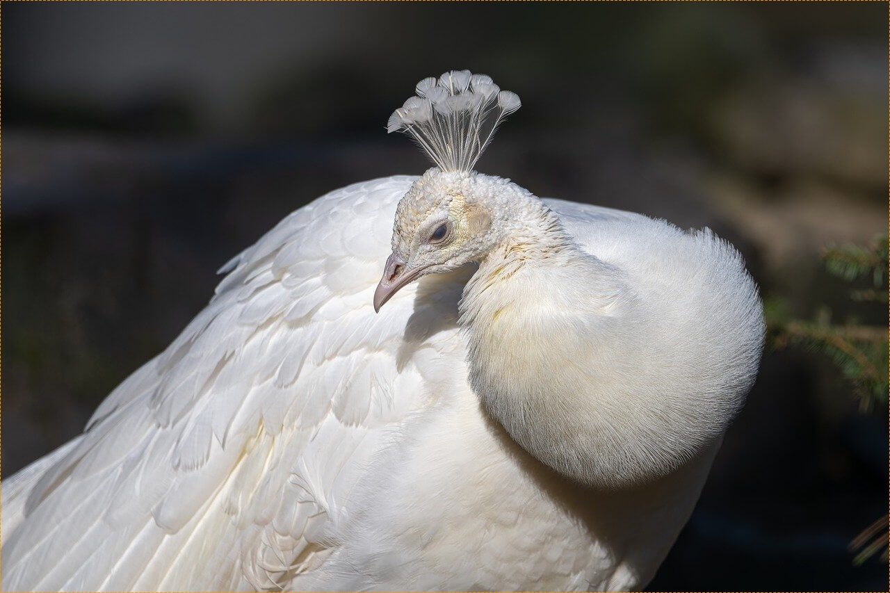 정기예금 금리 가장 높은곳