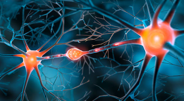 신경주사 효과, 진짜 얼마나 갈까? 지속기간과 부작용 총정리