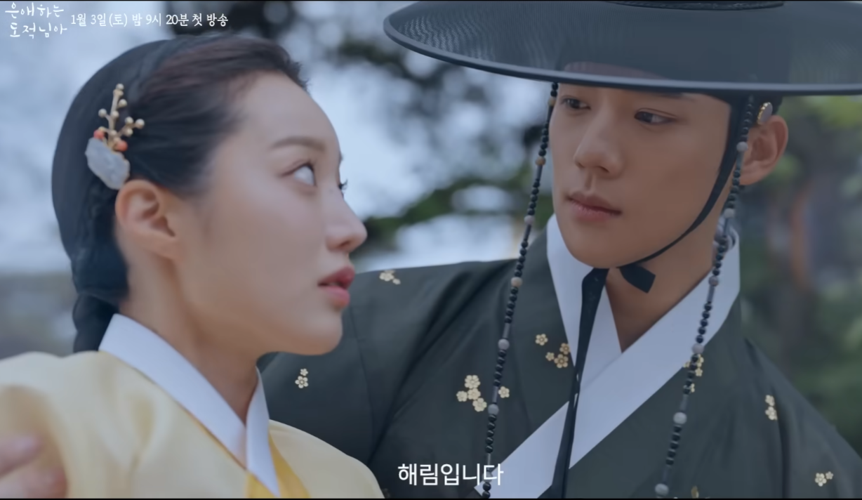 은애하는 도적님아