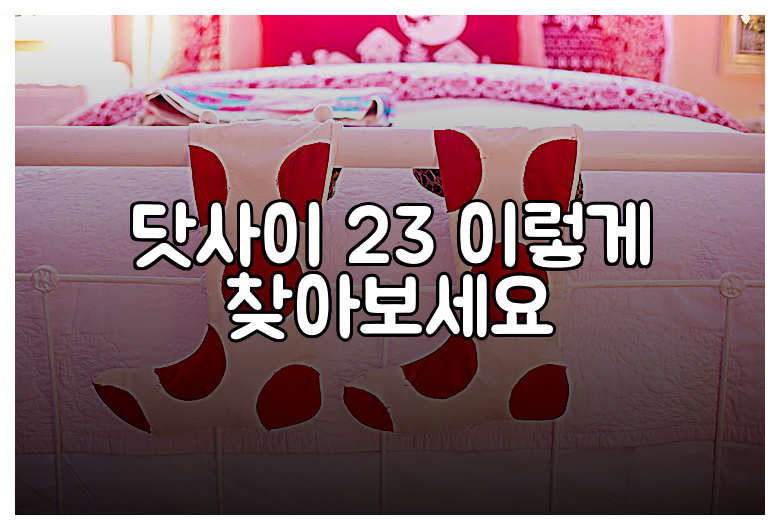 닷사이 23 이렇게 찾아보세요