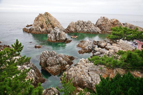 장호항 관련 홍보 사진