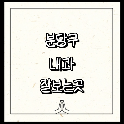 성남 분당구 내과