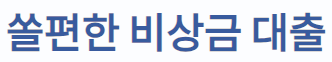 신한은행 쏠편한 비상금대출