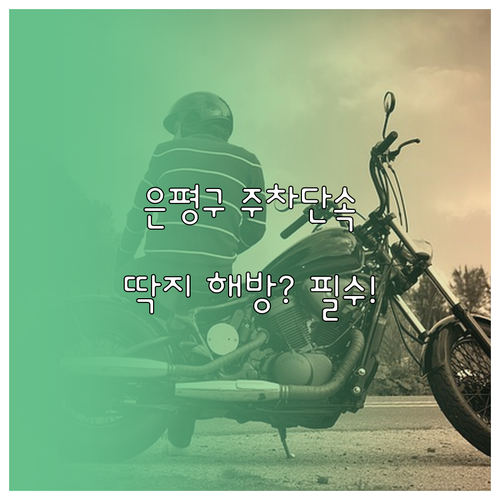 은평구 주차 단속 알림 서비스 신청 ..