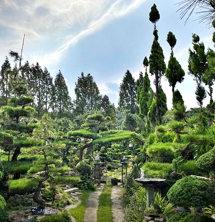 특색있고 아름다운 민간 정원 30선 추천 여행 - 26. 정읍 들꽃마당(제이포렛)