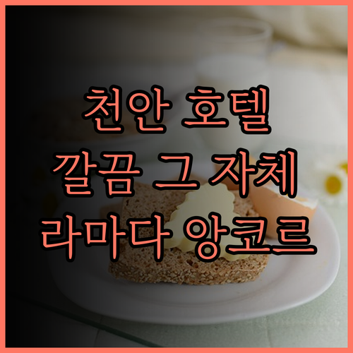 천안 라마다 앙코르 호텔, 후기가 증
