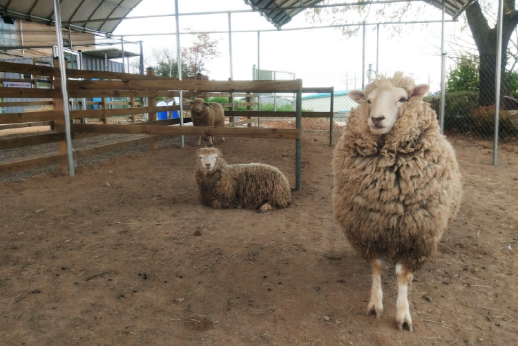 파주 퍼스트가든