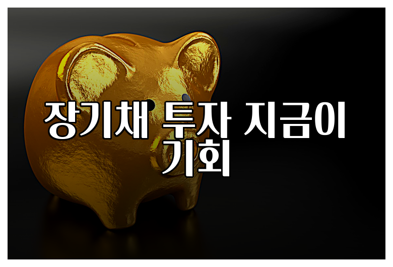 장기채 투자 지금이 기회