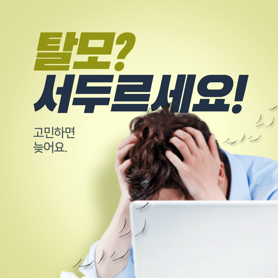 모발이식_3000모_비용