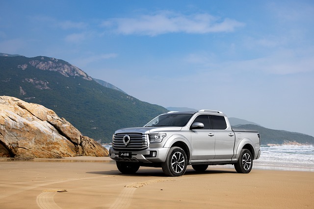 중국 전기차 성장