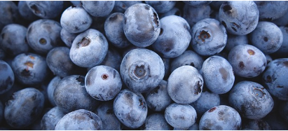 블루베리이미지