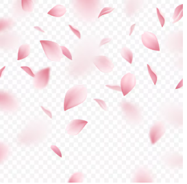 벚꽃